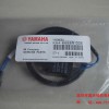 YV100IIȫT_PKH4-M668R-00X 100X