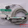 YG100Rn(CKD)SCPD2-L00-10-30
