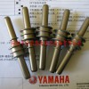 (yng)YAMAHA ~