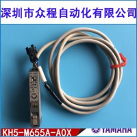 KH5-M655A-A0X YV100IIГQվŴ